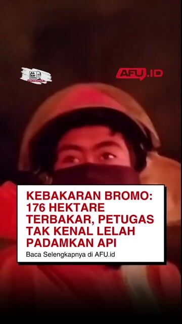 Kebakaran Bromo: 176 Hektare Terbakar, Petugas Tak Kenal Lelah Padamkan Api